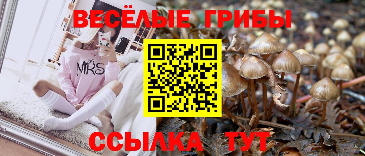 Галлюциногенные грибы Psilocybine cubensis  Вход с VPN  Белогорск 