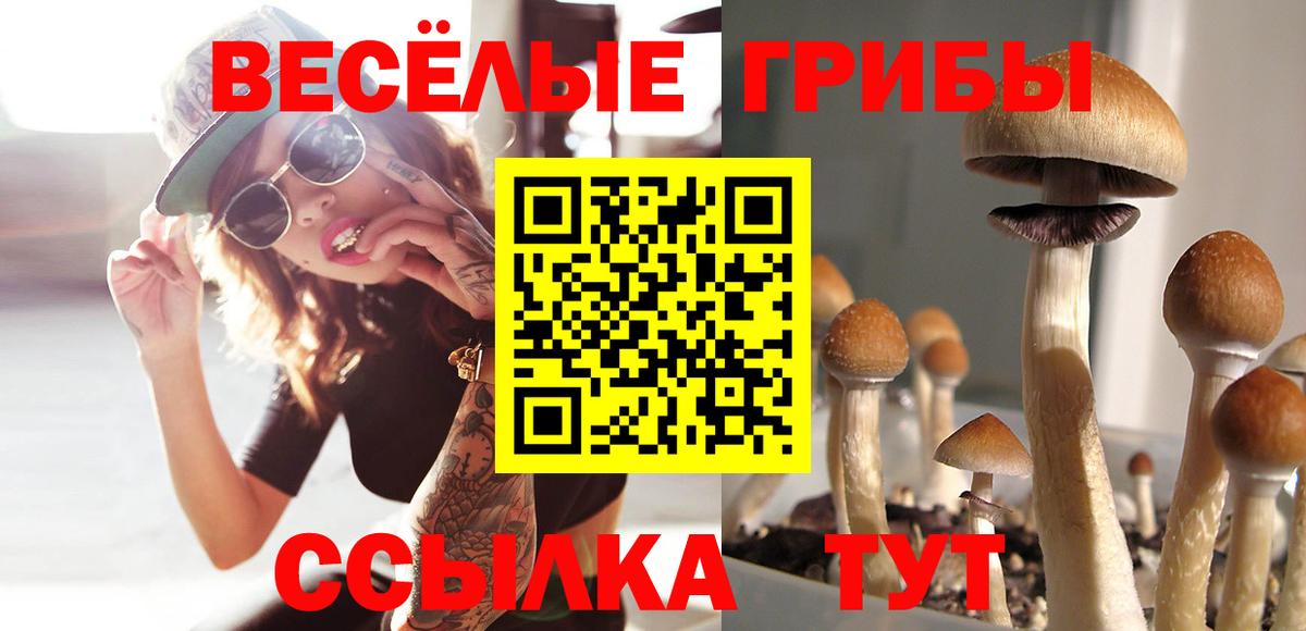 Псилоцибиновые грибы мухоморы Белогорск